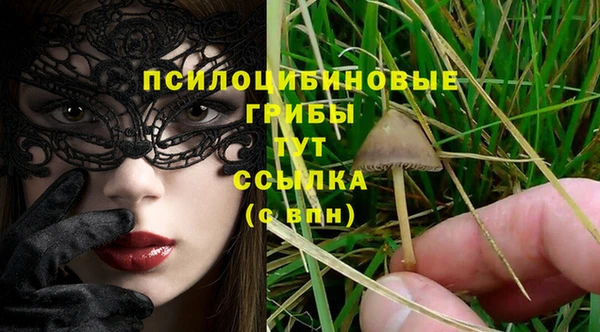 стаф Армянск