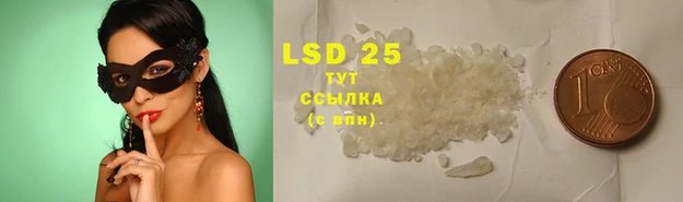 ПСИЛОЦИБИНОВЫЕ ГРИБЫ Остров