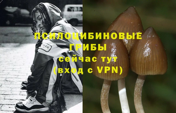 PSILOCYBIN Осташков