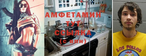 PSILOCYBIN Осташков