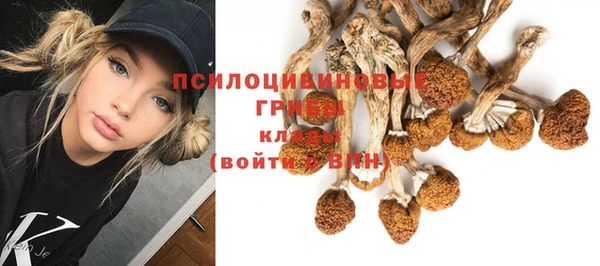 кокаин Осинники