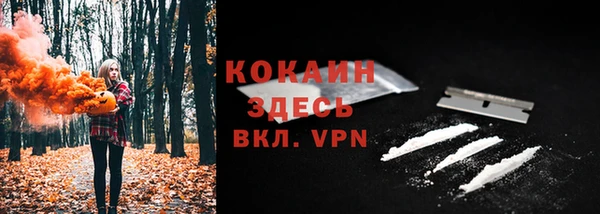 PSILOCYBIN Осташков