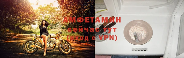 PSILOCYBIN Осташков