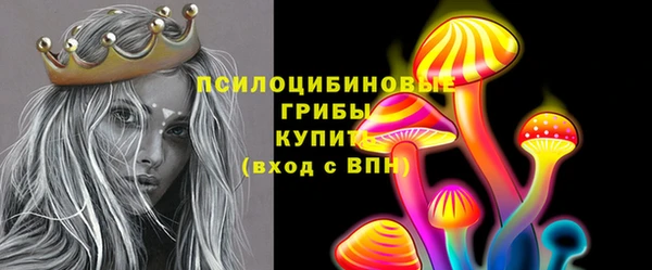 ПСИЛОЦИБИНОВЫЕ ГРИБЫ Остров