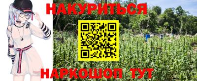 мяу мяу мука Беслан