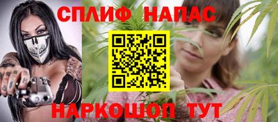 мдпв Кингисепп
