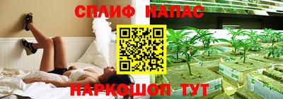 мдпв Кингисепп