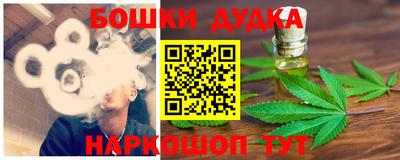 мдпв Кингисепп