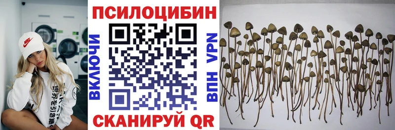 дарк нет формула  Учалы  Галлюциногенные грибы Magic Shrooms  mega  