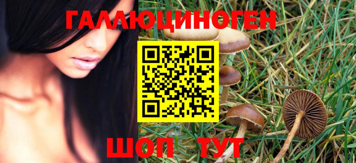 где можно купить   Вход с VPN  Учалы  Псилоцибиновые грибы Magic Shrooms 
